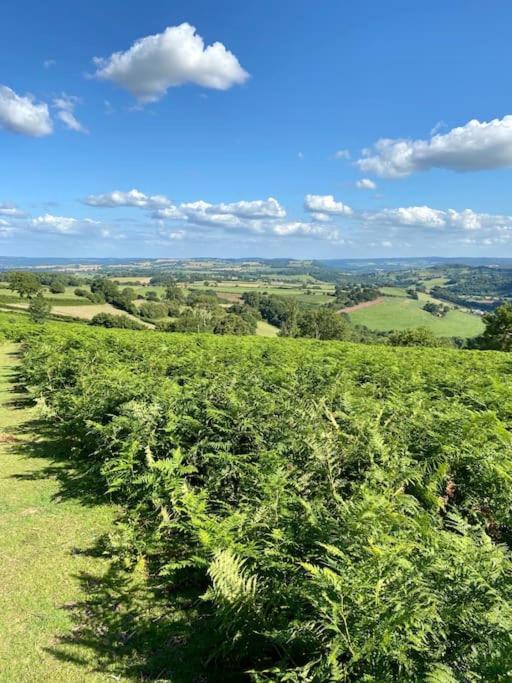 The Mill Stylish Rural Apartment With Beautiful Views Welsh Newton Common Екстер'єр фото