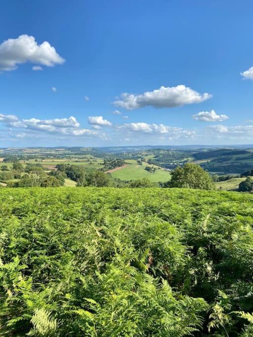 The Mill Stylish Rural Apartment With Beautiful Views Welsh Newton Common Екстер'єр фото